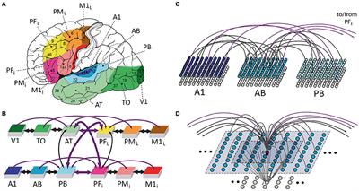 A Spiking Neurocomputational Model of High-Frequency Oscillatory Brain Responses to Words and Pseudowords